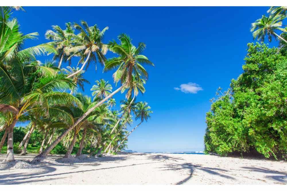 pristine beaches of american samoa np