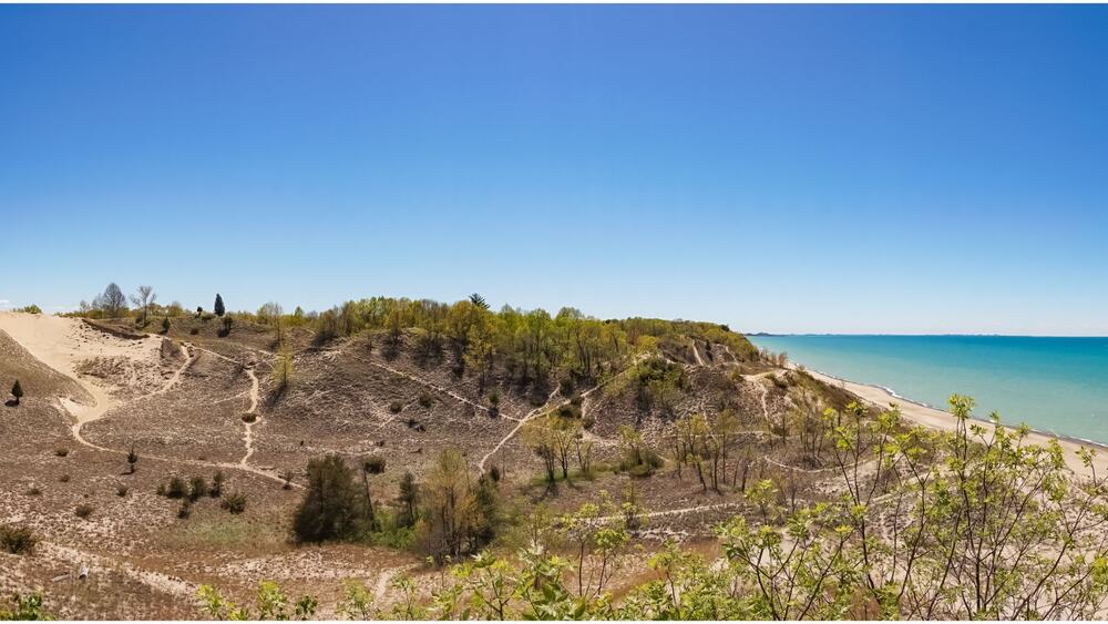 Numerous hiking trails cut across the rolling dunes close to the beaches inside indiana dunes national park