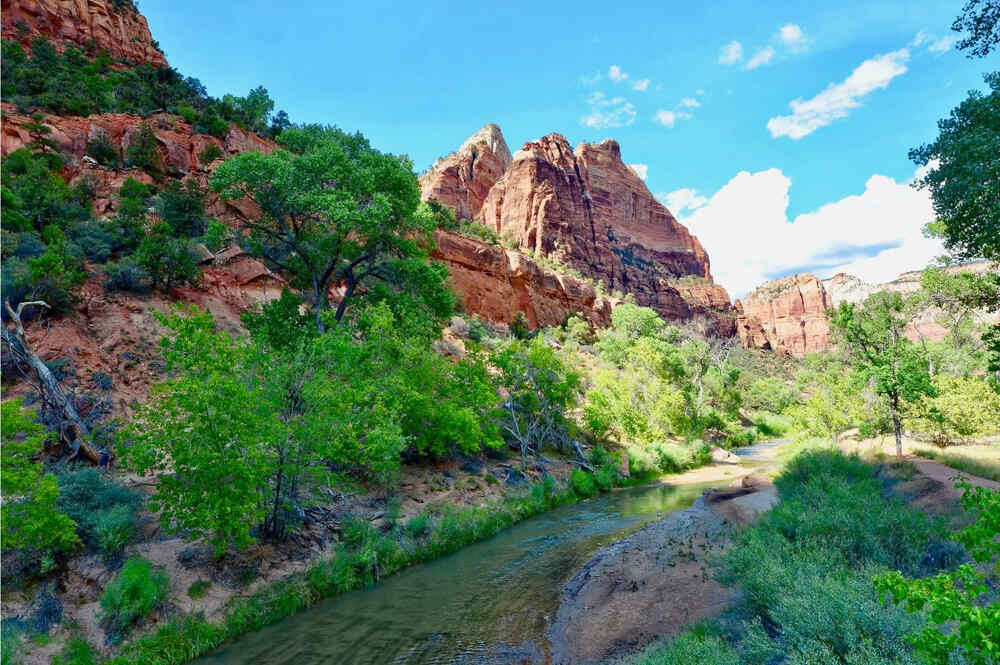 summer in zion np with a river in the forefront