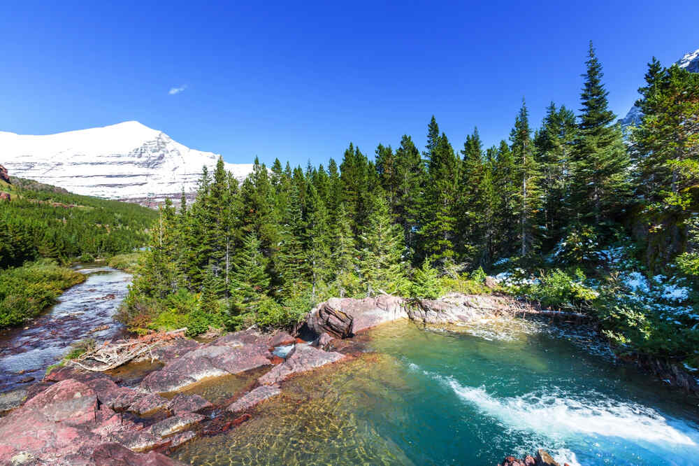 An icy river flows through the mountainous landscape of Glacier during a clear June afternoon