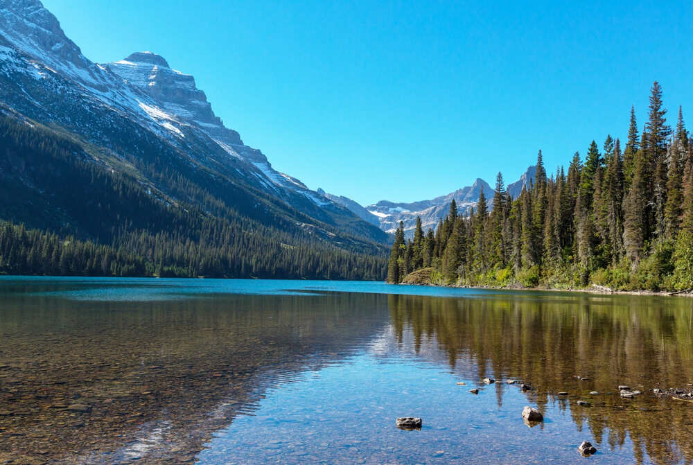 A crystal-clear alpine lake nestled inside the mountains of Glacier during a beautiful June day