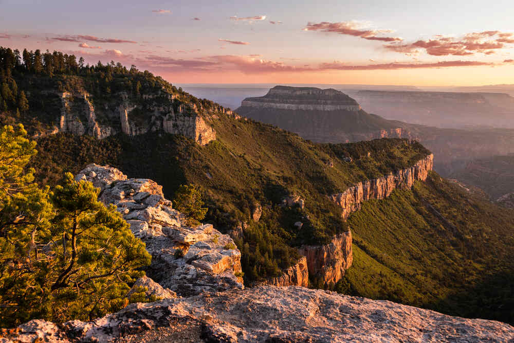 view of sunset at Kaibab National Forest in Grand Canyon