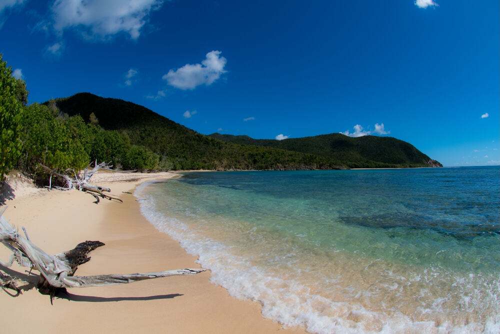White sandy shorelines and crystal-clear waters are trademarks of Virgin Island National Park's beaches