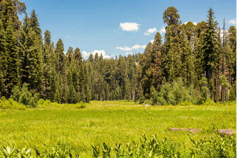 A beautiful summer day at Crescent Meadows