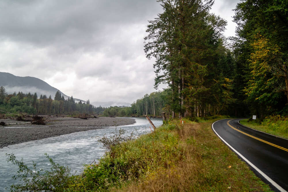A foggy day along the Hoh River Road as the Hoh River flows steadily through the mountains