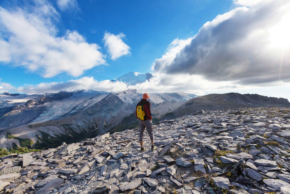 view of higher elevations of Mount Rainier National Park are marked by a rugged, rocky landscape with sparse vegetation