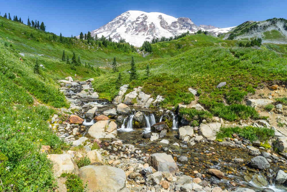 Summer Mount Rainier Creek Stream