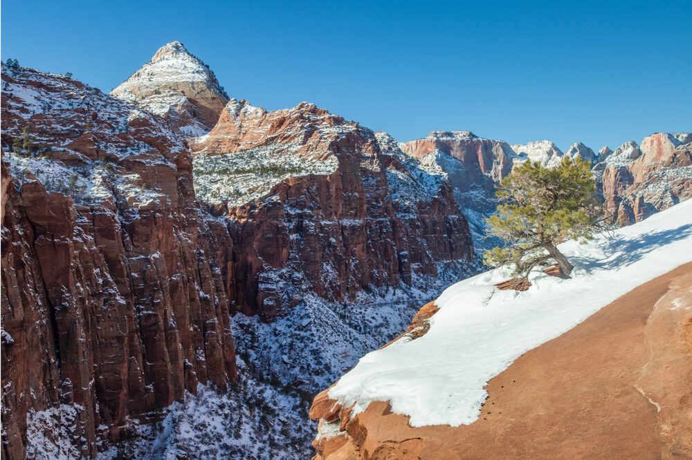 snow-covered valley from Angels Landing in zion national park