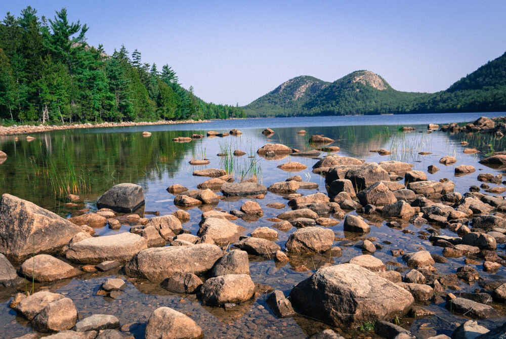 Jordan Pond in Acadia national park showing pond, trees and mountain in background where beavers are frequently observed