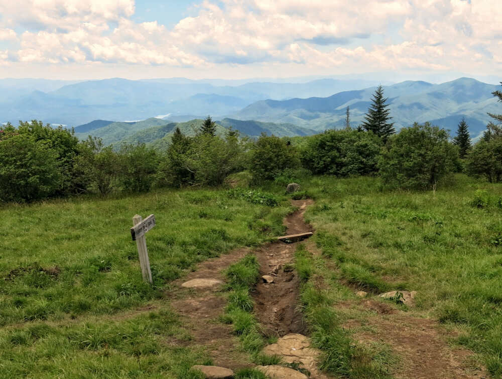 The viewpoint at Andrews Bald Trail offers expansive, unobstructed views of the surrounding mountains and valleys, with vibrant wildflowers in late spring and early summer