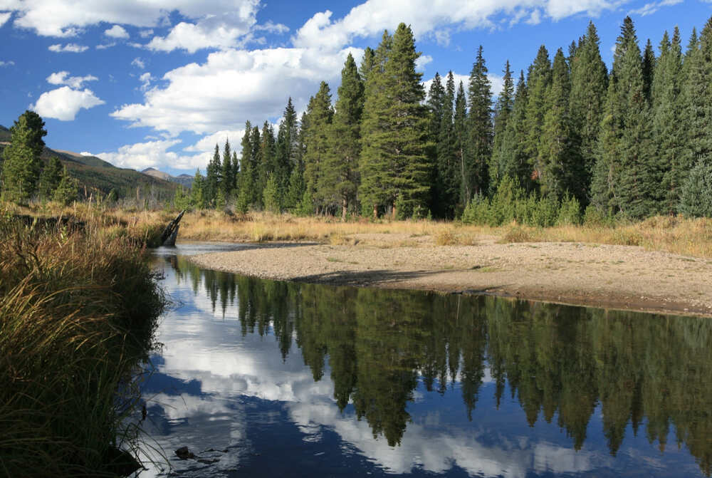 view of the Colorado River Trailhead, a great place to spot moose with lots of vegetation and water sources