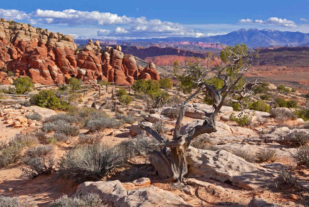 view of Fiery Furnace and the labyrinth of narrow sandstone canyons and towering fins in Arches National Park