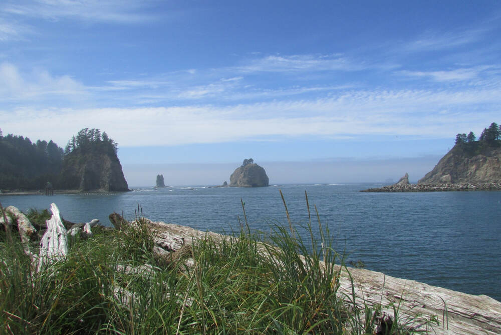 The shoreline of La Push in Washington features dramatic coastal scenery with rugged sea stacks rising from the ocean, bordered by pebbly and sandy beaches
