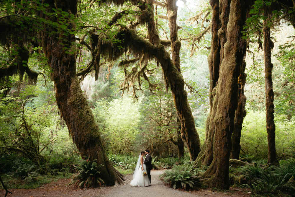 A couple poses for a photo surrounded by the majestic Hoh Rainforest in Olympic National Park