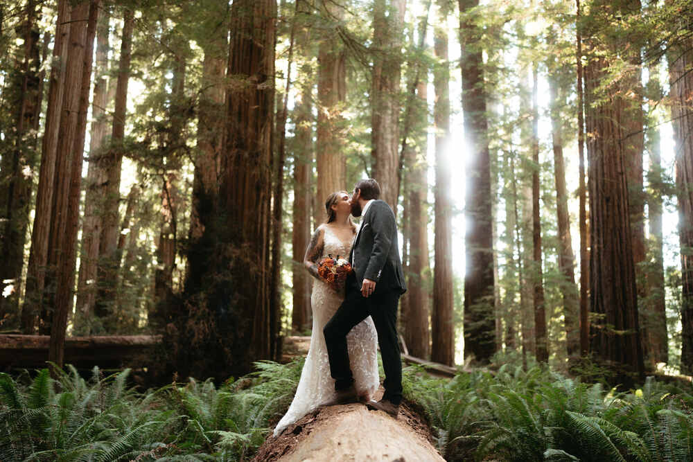 A lovely shot of a newlywed couple inside Redwood National Park