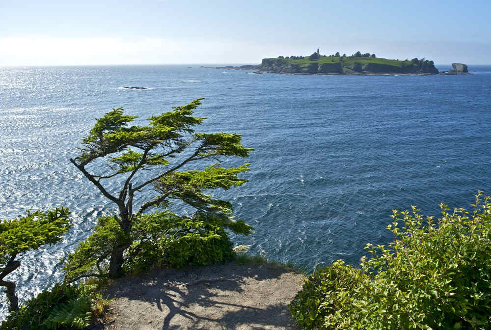 Tatoosh Island as seen from the shoreline of Cape Flattery