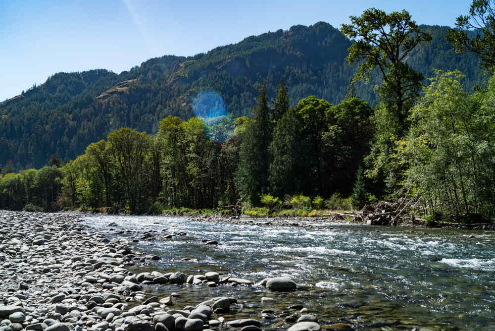 Elwha Valley  with river and forest in background
