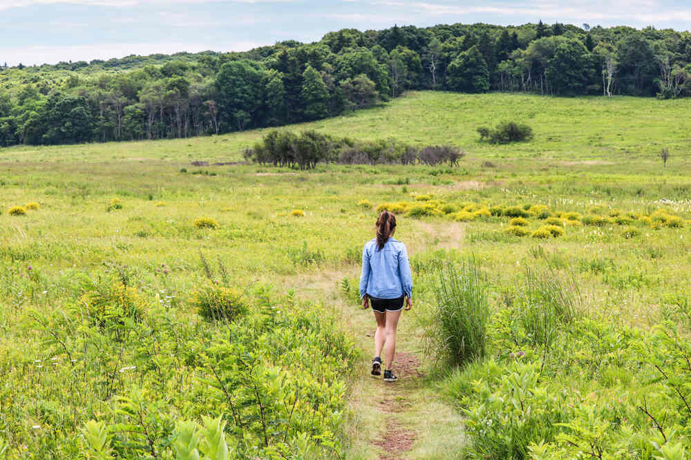 A hiker enjoys an easy walk through the lush green scenery of the Big Meadows area of Shenandoah NP