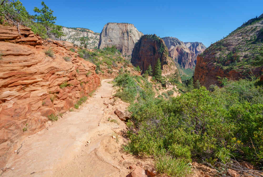 west rim trail in zion np showing the hiking trail with sweeping views of zion canyon passing through a diverse landscape 